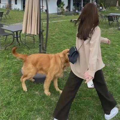 心之所归